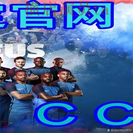 整理世界杯买球网站：从用户反馈到使用全流程解析 - 世界杯直播